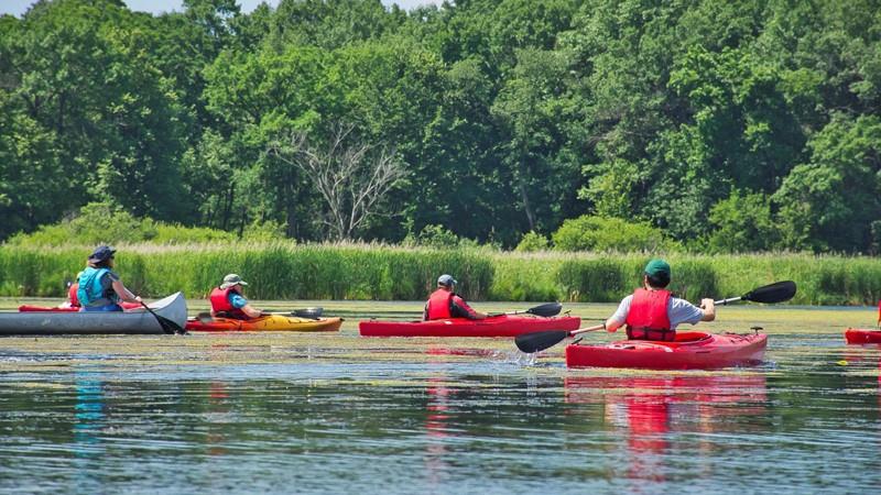 Kayak Pack Trips